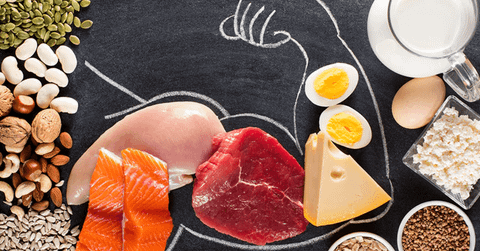 Hỗ Trợ Xây Dựng Và Phục Hồi Cơ Bắp Khi Kết Hợp Protein