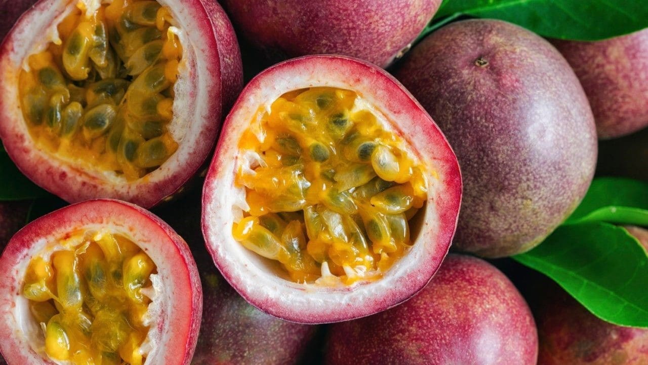 Quả chanh dây (passion fruit) - Ngon, giàu đạm và chất xơ
